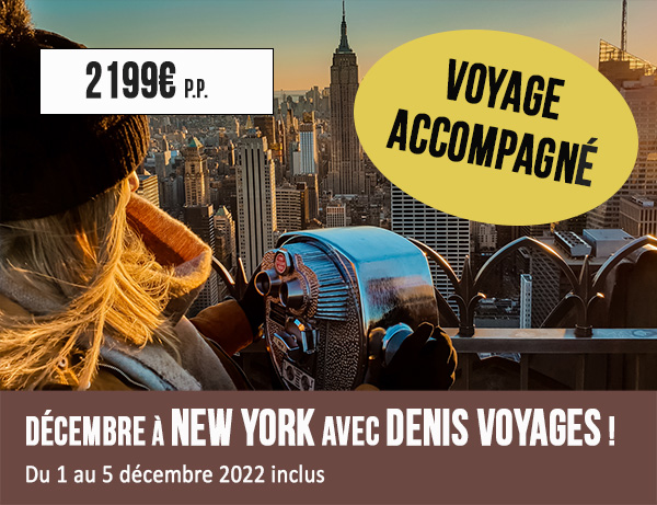 New York Denis Voyages